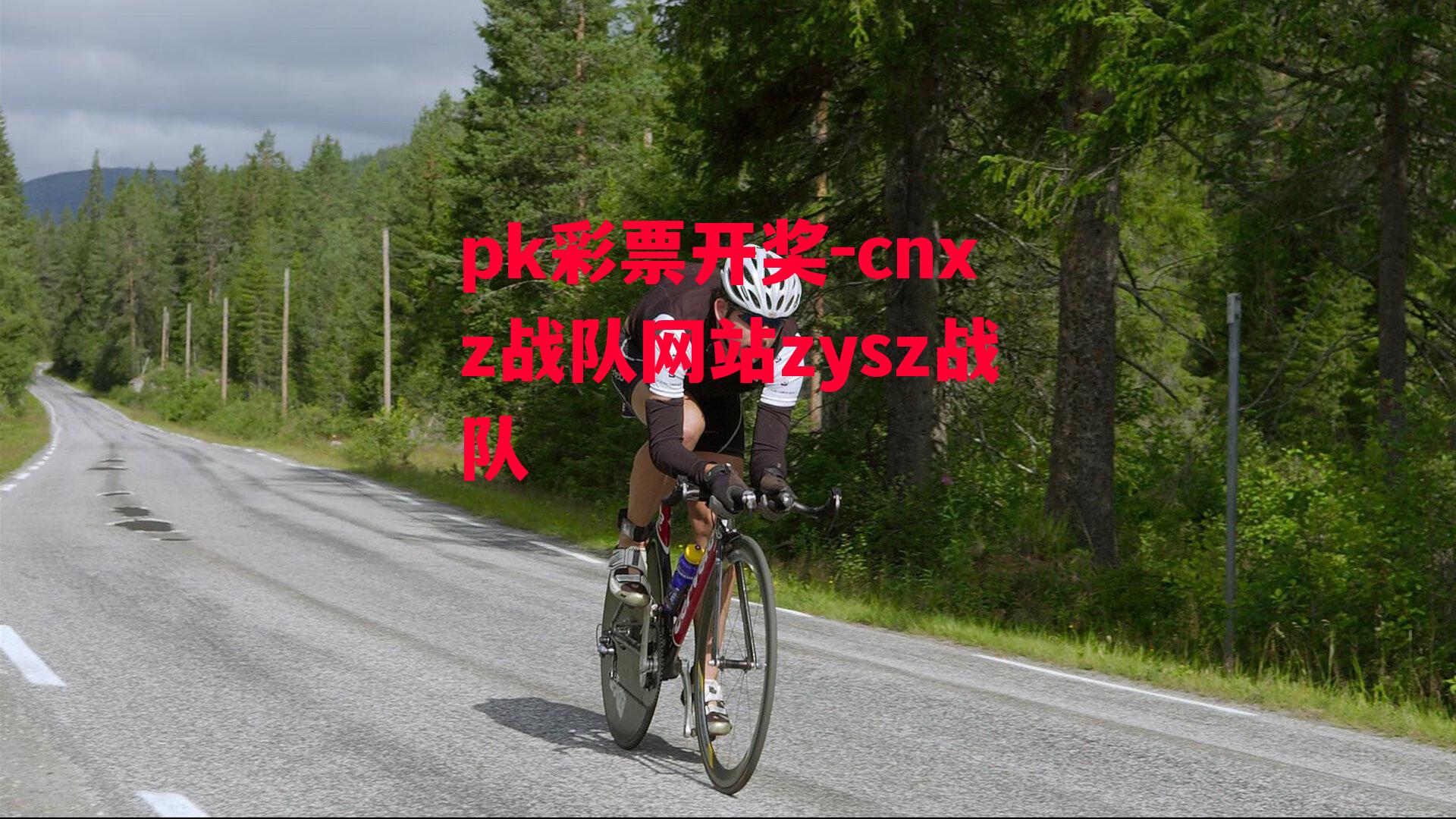 cnxz战队网站zysz战队